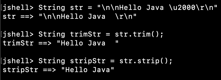 Java String Trim Method Examples