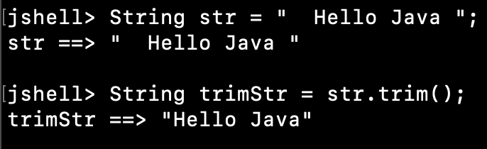 Java String Trim Method Examples